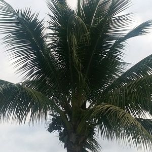 Meet your Posher, Monika